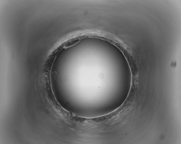X0000091071496200708131141