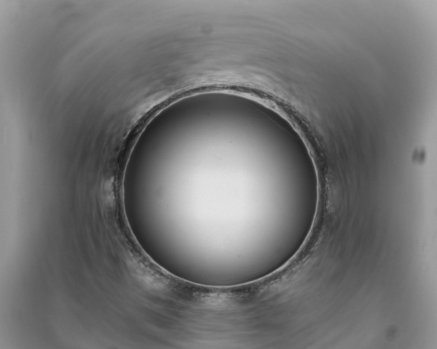 X0000091071497200708131141