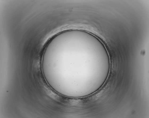 X0000091071498200708131141
