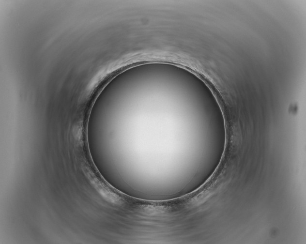 X0000091071499200708131141