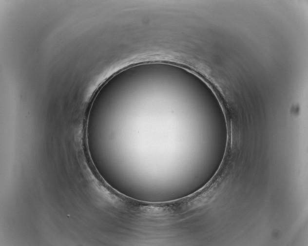 X0000091071500200708131141