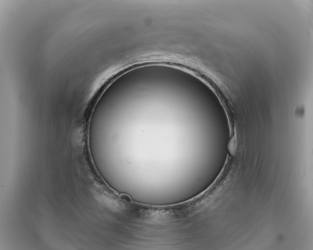 X0000091071501200708131141