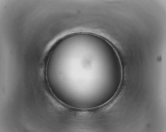 X0000091071502200708131141