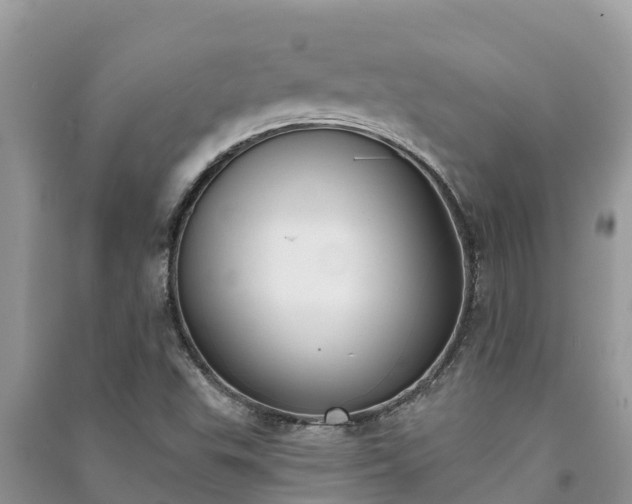 X0000091071503200708131141