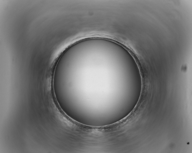 X0000091071504200708131141