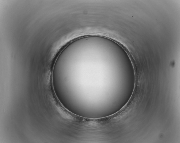 X0000091071507200708131141