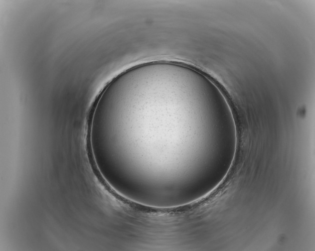 X0000091071508200708131141
