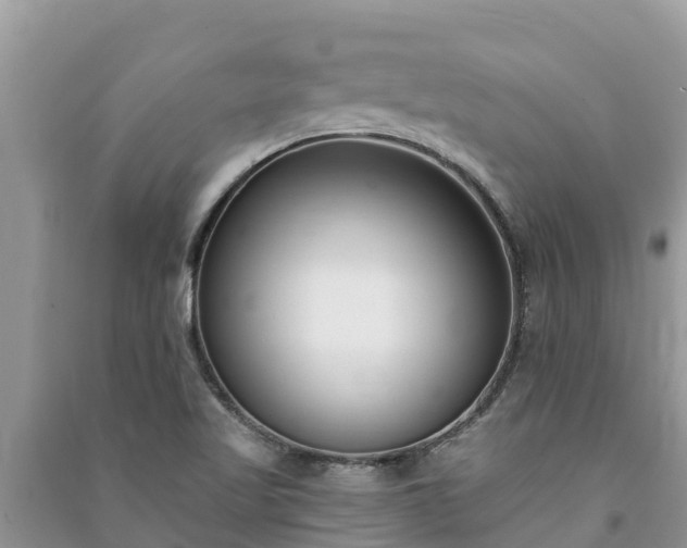X0000091071509200708131141