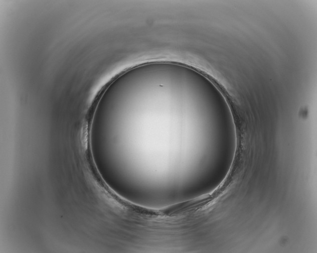 X0000091071510200708131141