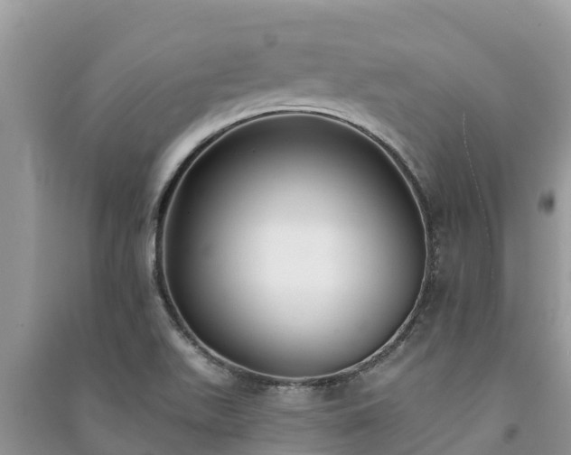 X0000091071511200708131141