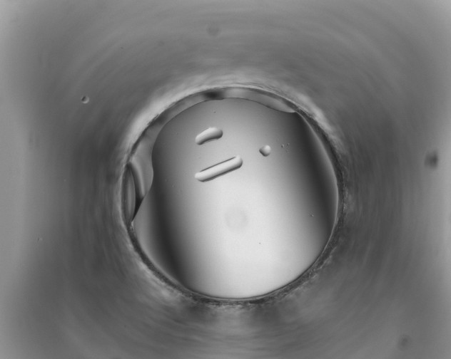 X0000091071512200708131141