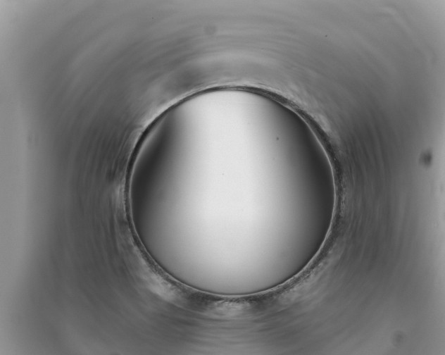 X0000091071513200708131141