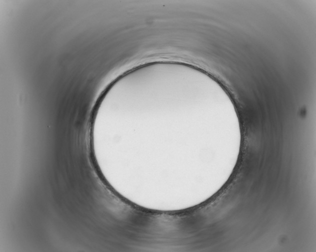 X0000091071514200708131141