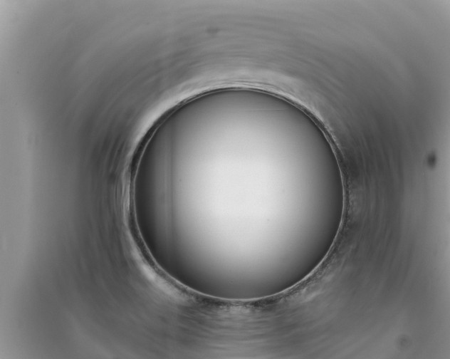X0000091071515200708131141