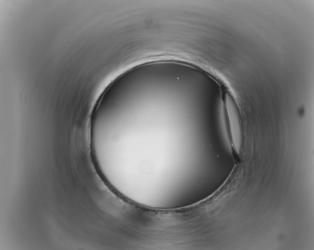 X0000091071516200708131141