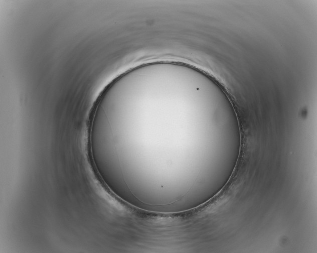 X0000091071518200708131141
