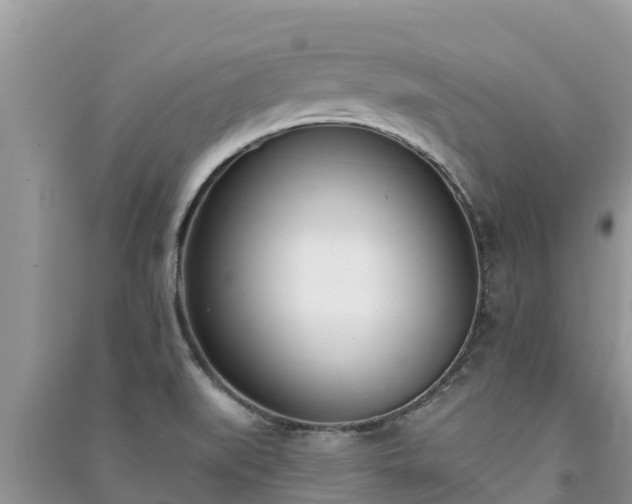 X0000091071519200708131141