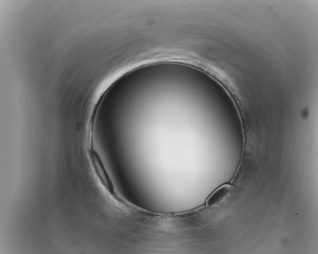X0000091071520200708131141