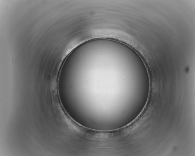 X0000091071521200708131141