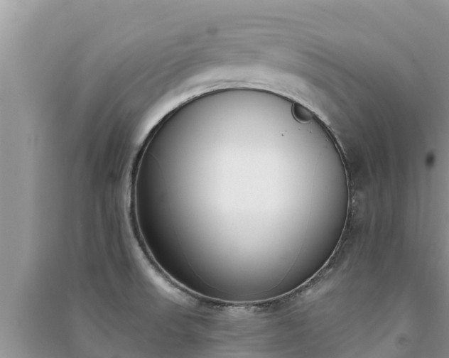 X0000091071523200708131141