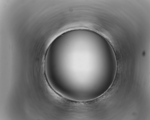 X0000091071524200708131141