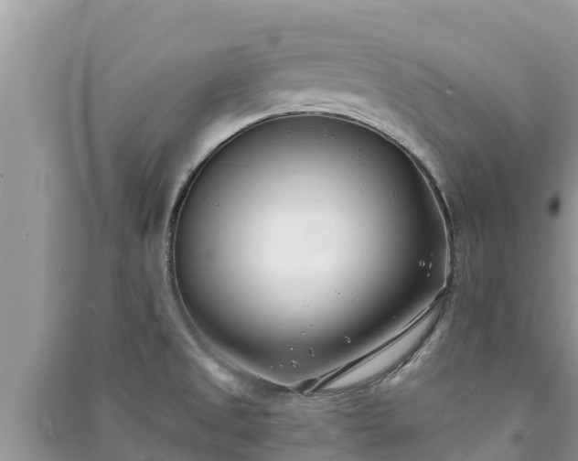 X0000091071525200708131141
