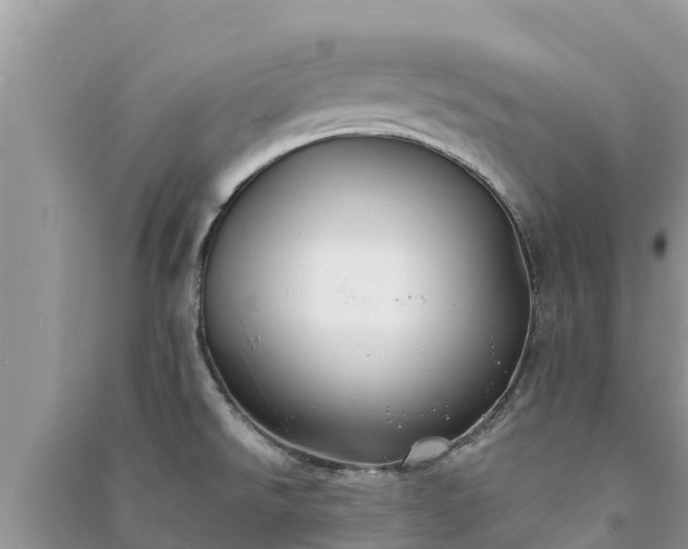 X0000091071526200708131141
