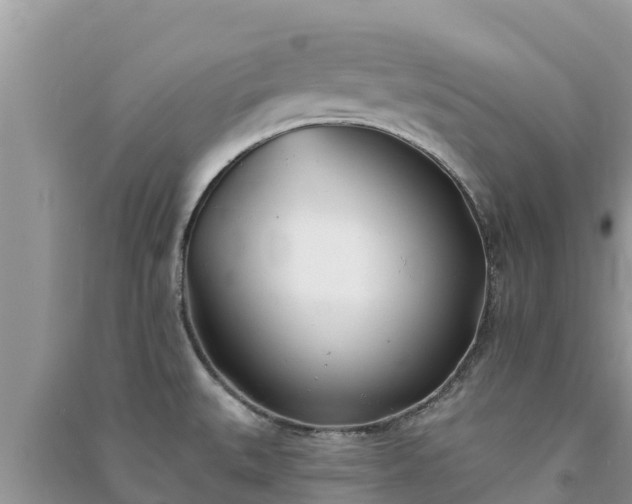 X0000091071527200708131141