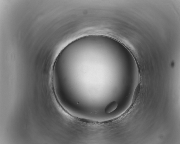 X0000091071528200708131141
