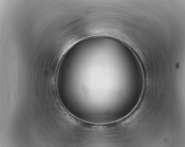 X0000091071529200708131141