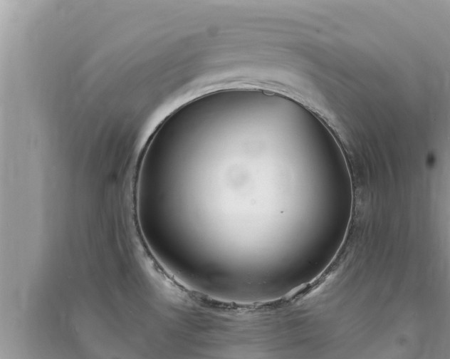 X0000091071530200708131141