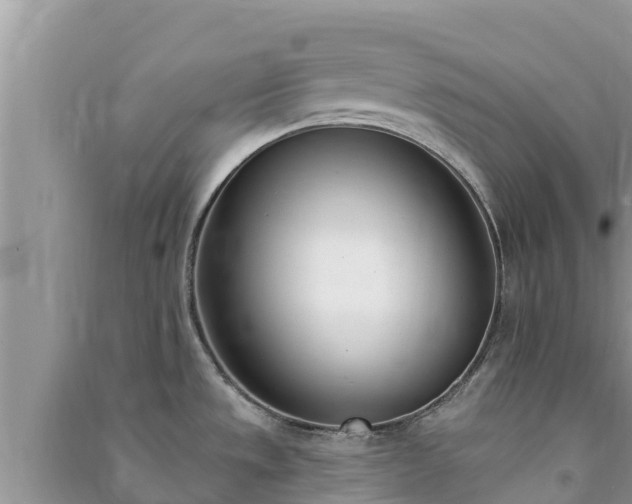 X0000091071533200708131141