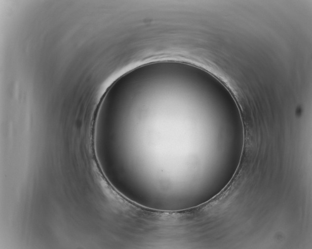 X0000091071534200708131141