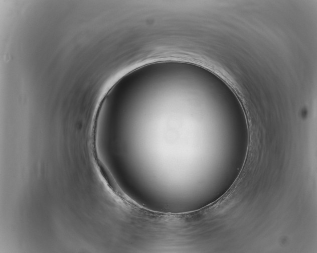 X0000091071536200708131141