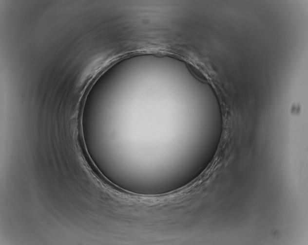 X0000091070002200708201420