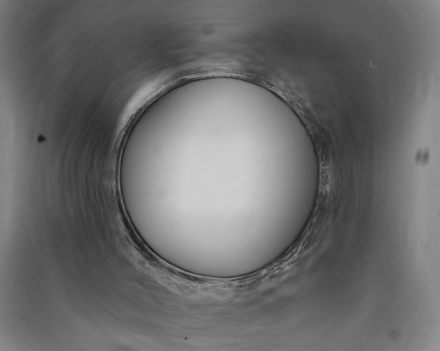 X0000091070004200708201420