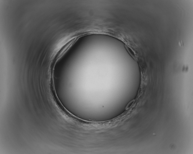 X0000091070005200708201420