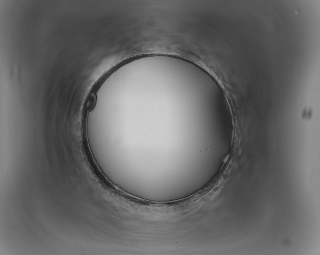 X0000091070008200708201420