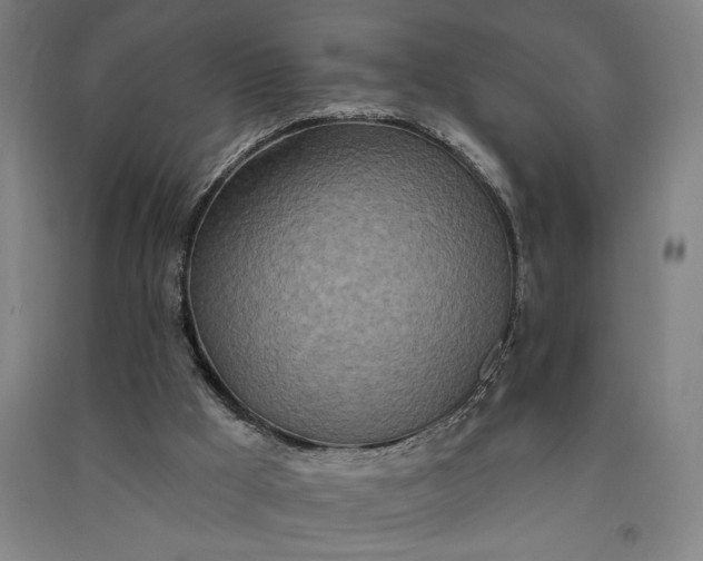 X0000091070009200708201420