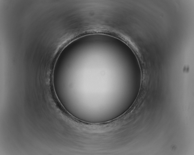 X0000091070010200708201420