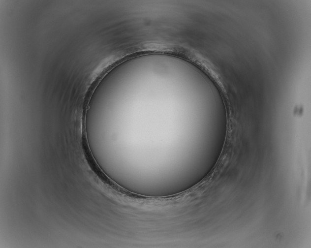 X0000091070011200708201420