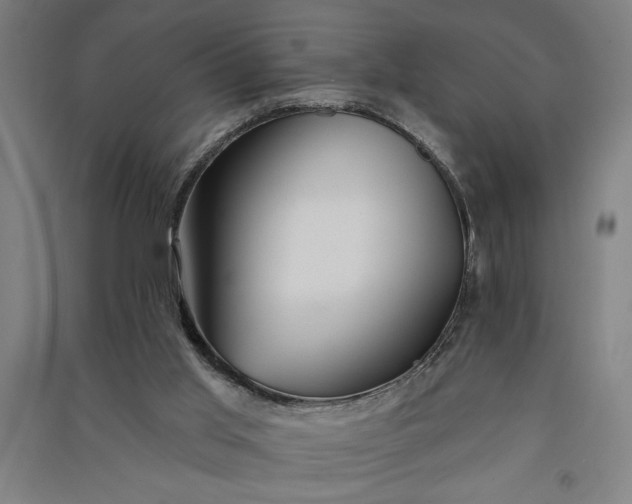 X0000091070013200708201420