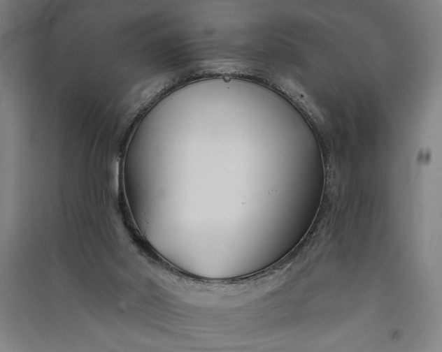 X0000091070014200708201420