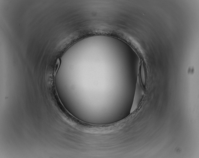 X0000091070017200708201420