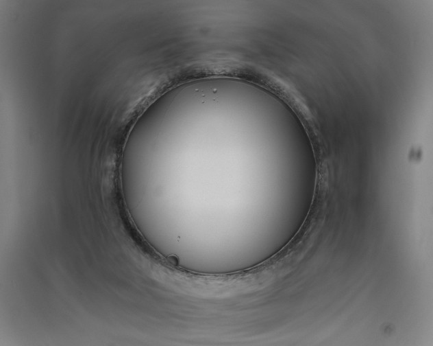 X0000091070018200708201420