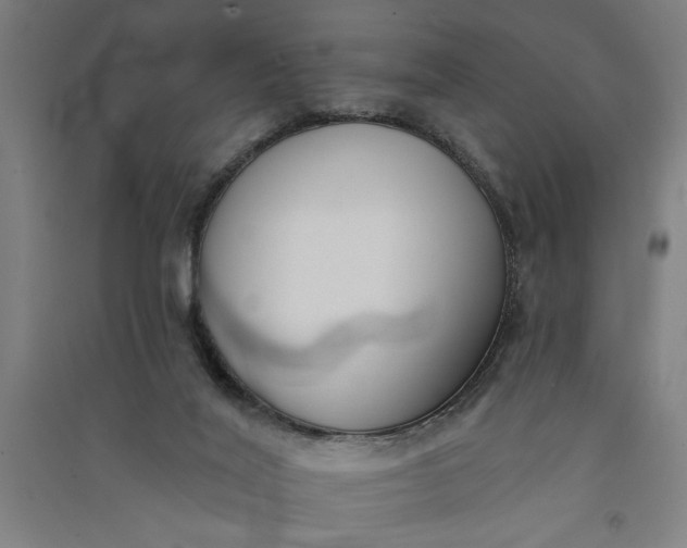 X0000091070020200708201420