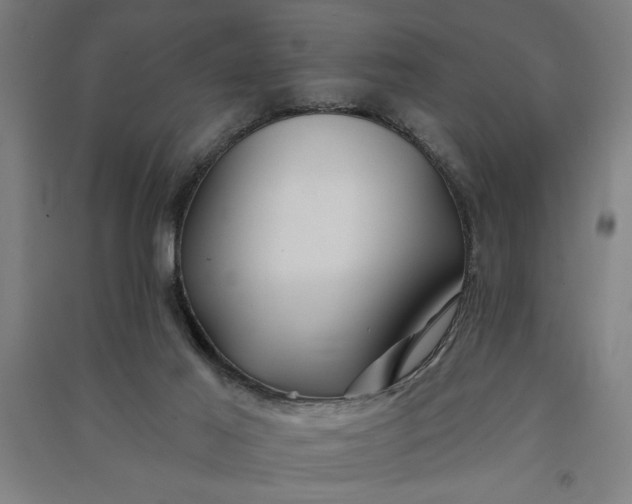 X0000091070021200708201420