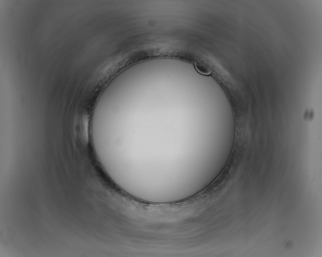 X0000091070022200708201420