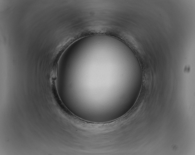 X0000091070023200708201420