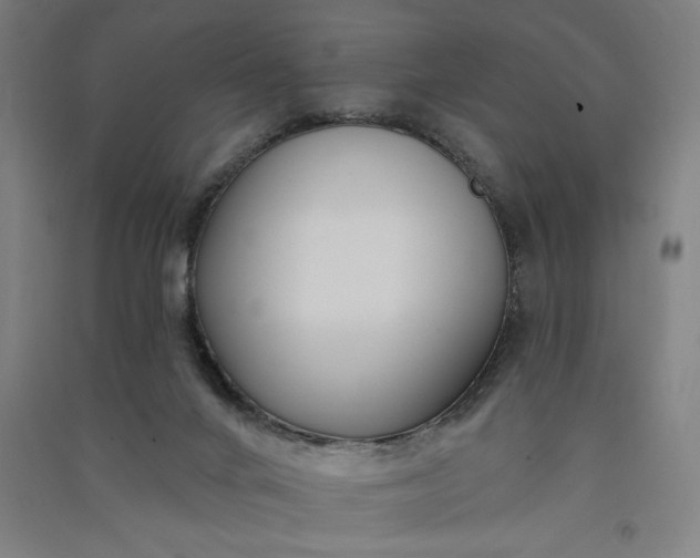 X0000091070024200708201420